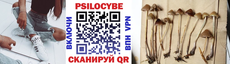 Купить где Гаврилов-Ям Галлюциногенные грибы Psilocybe